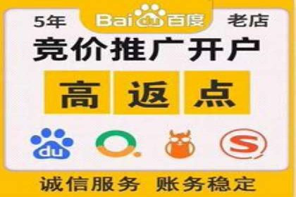竞价广告的深度解析：以一知名品牌为例